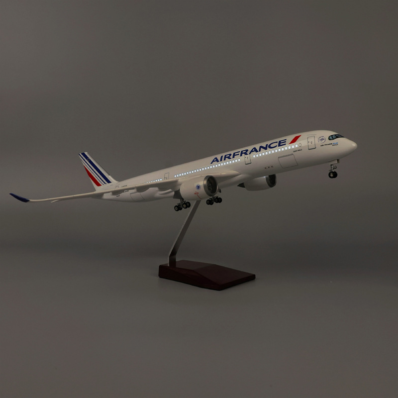 47cm Air France A350 Model Air - огляд і ціна Model Kit Plane